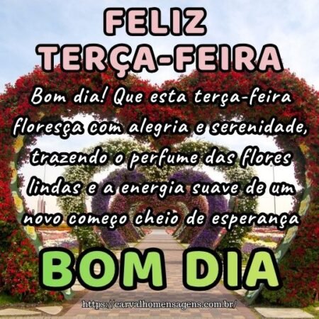 Bom dia! Que esta terça-feira floresça com alegria e serenidade, trazendo o perfume das flores lindas e a energia suave de um novo começo cheio de esperança.