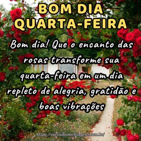 Bom dia! Que o encanto das rosas transforme sua quarta-feira em um dia repleto de alegria, gratidão e boas vibrações.