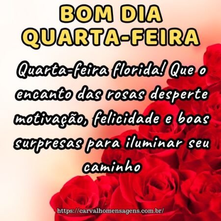 Quarta-feira florida! Que o encanto das rosas desperte motivação, felicidade e boas surpresas para iluminar seu caminho.