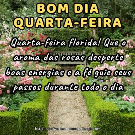 Quarta-feira florida! Que o aroma das rosas desperte boas energias e a fé guie seus passos durante todo o dia.