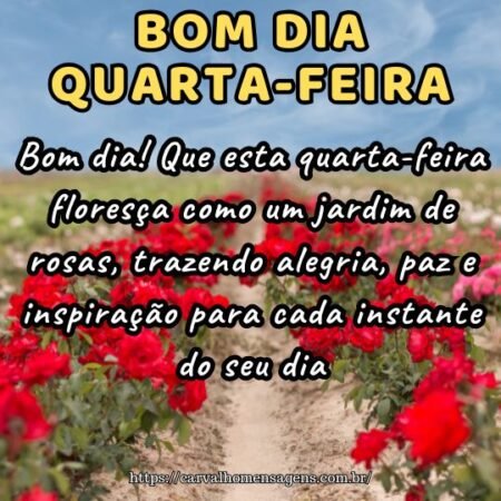 Bom dia! Que esta quarta-feira floresça como um jardim de rosas, trazendo alegria, paz e inspiração para cada instante do seu dia.