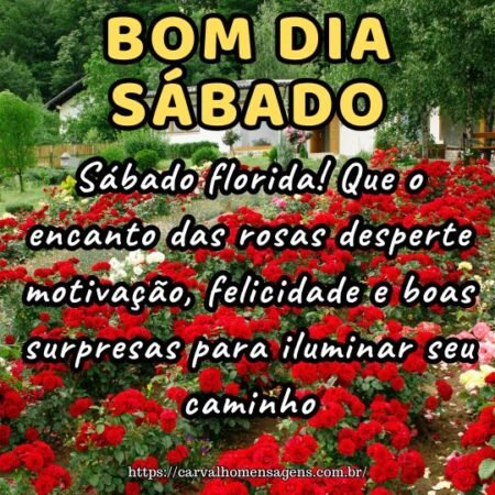 Sábado florida! Que o encanto das rosas desperte motivação, felicidade e boas surpresas para iluminar seu caminho.