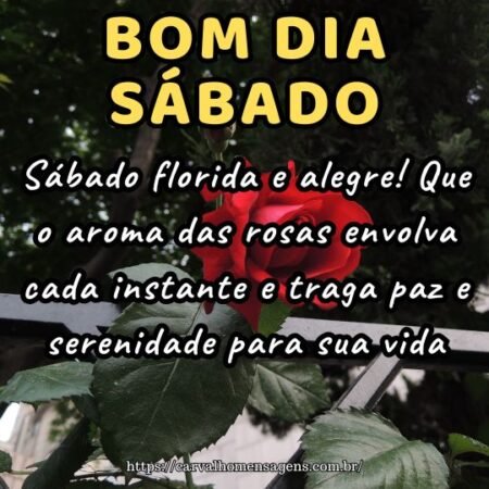Sábado florida e alegre! Que o aroma das rosas envolva cada instante e traga paz e serenidade para sua vida.