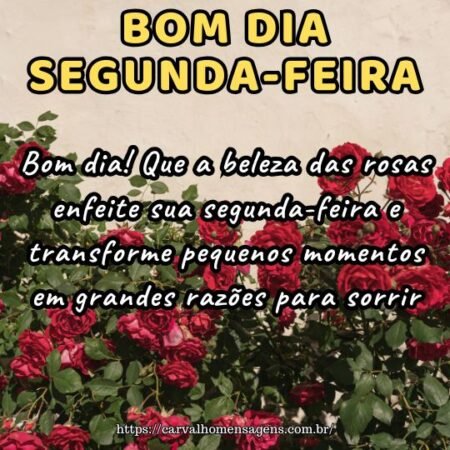 Bom dia! Que a beleza das rosas enfeite sua segunda-feira e transforme pequenos momentos em grandes razões para sorrir. Bom dia! Que a beleza das rosas enfeite sua segunda-feira e transforme pequenos momentos em grandes razões para sorrir.