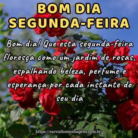 Bom dia! Que esta segunda-feira floresça como um jardim de rosas, espalhando beleza, perfume e esperança por cada instante do seu dia. Bom dia! Que esta segunda-feira floresça como um jardim de rosas, espalhando beleza, perfume e esperança por cada instante do seu dia.