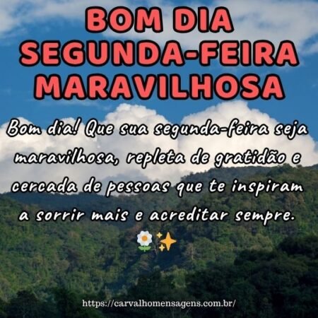 Bom dia! Que sua segunda-feira seja maravilhosa, repleta de gratidão e cercada de pessoas que te inspiram a sorrir mais e acreditar sempre. 🌼✨ Bom dia! Que sua segunda-feira seja maravilhosa, repleta de gratidão e cercada de pessoas que te inspiram a sorrir mais e acreditar sempre. 🌼✨