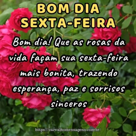 Bom dia! Que as rosas da vida façam sua sexta-feira mais bonita, trazendo esperança, paz e sorrisos sinceros.