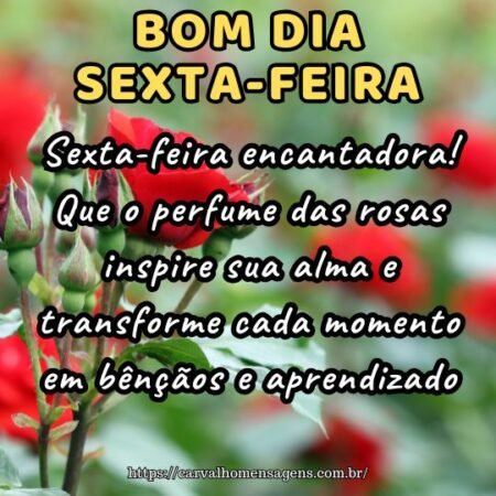 Sexta-feira encantadora! Que o perfume das rosas inspire sua alma e transforme cada momento em bênçãos e aprendizado.