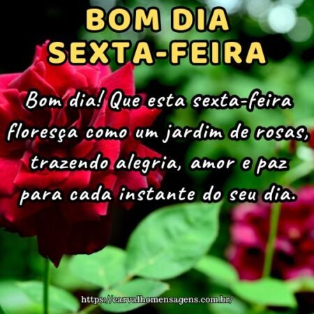 Bom dia! Que esta sexta-feira floresça como um jardim de rosas, trazendo alegria, amor e paz para cada instante do seu dia.