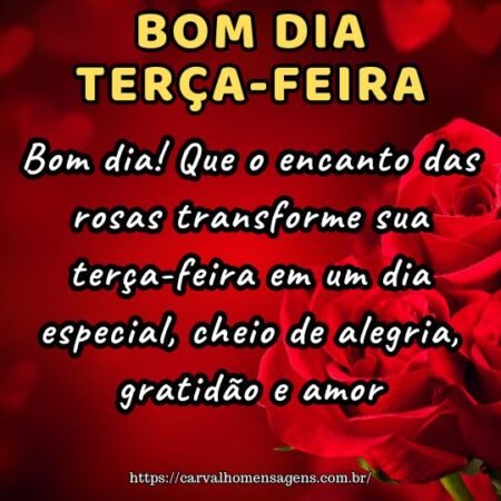 Bom dia! Que o encanto das rosas transforme sua terça-feira em um dia especial, cheio de alegria, gratidão e amor.