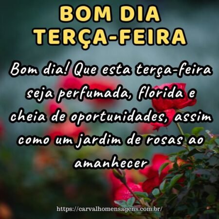 Bom dia! Que esta terça-feira seja perfumada, florida e cheia de oportunidades, assim como um jardim de rosas ao amanhecer.