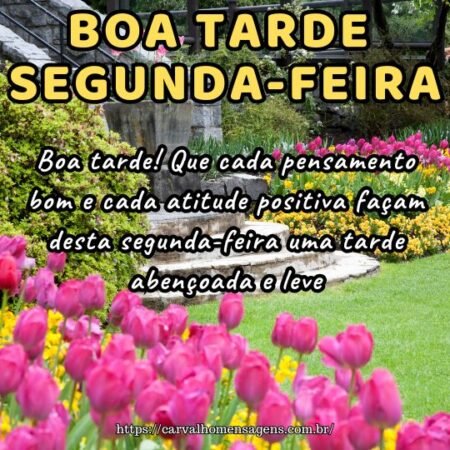 Boa tarde! Que cada pensamento bom e cada atitude positiva façam desta segunda-feira uma tarde abençoada e leve.