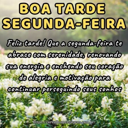 Feliz tarde! Que a segunda-feira te abrace com serenidade, renovando sua energia e enchendo seu coração de alegria e motivação para continuar perseguindo seus sonhos.