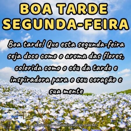 Boa tarde! Que esta segunda-feira seja doce como o aroma das flores, colorida como o céu da tarde e inspiradora para o seu coração e sua mente.