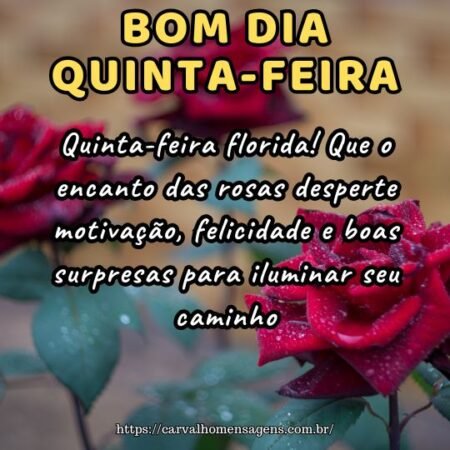 Quinta-feira florida! Que o encanto das rosas desperte motivação, felicidade e boas surpresas para iluminar seu caminho.