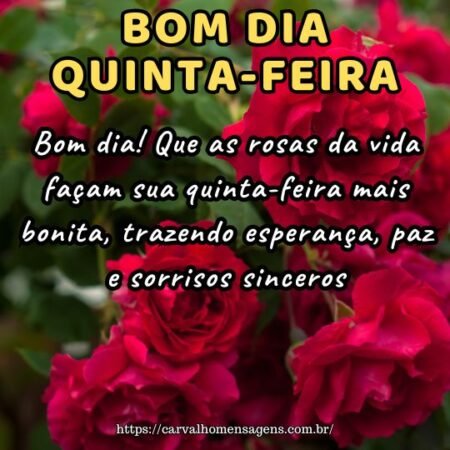 Bom dia! Que as rosas da vida façam sua quinta-feira mais bonita, trazendo esperança, paz e sorrisos sinceros.