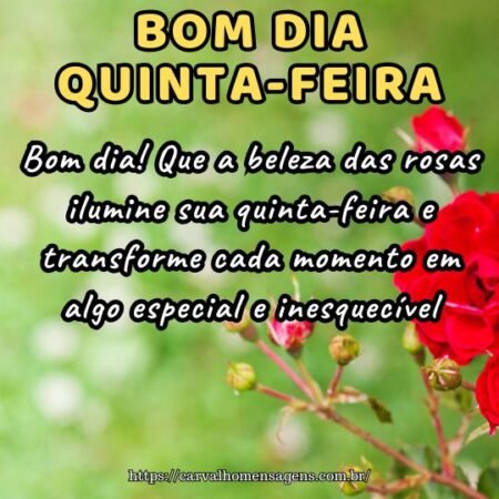Bom dia! Que a beleza das rosas ilumine sua quinta-feira e transforme cada momento em algo especial e inesquecível.