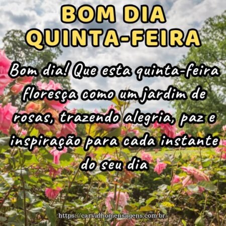 Bom dia! Que esta quinta-feira floresça como um jardim de rosas, trazendo alegria, paz e inspiração para cada instante do seu dia.