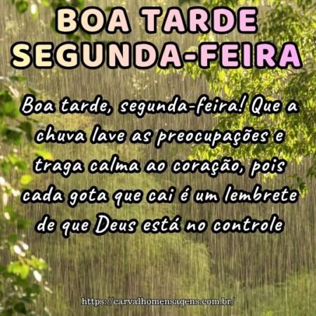Boa tarde, segunda-feira! Que a chuva lave as preocupações e traga calma ao coração, pois cada gota que cai é um lembrete de que Deus está no controle.