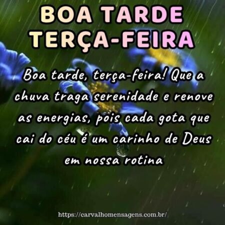 Boa tarde, terça-feira! Que a chuva traga serenidade e renove as energias, pois cada gota que cai do céu é um carinho de Deus em nossa rotina.
