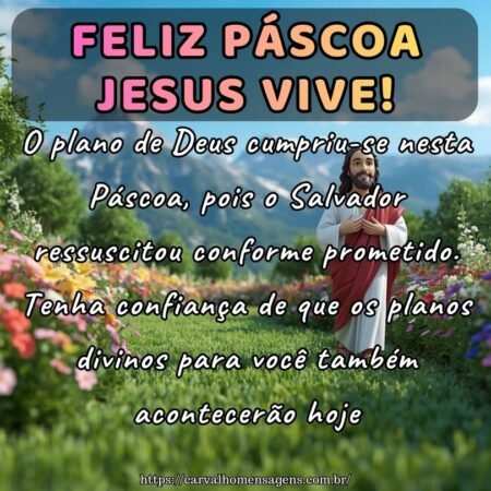 O plano de Deus cumpriu-se nesta Páscoa, pois o Salvador ressuscitou conforme prometido. Tenha confiança de que os planos divinos para você também acontecerão hoje.