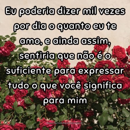 Eu poderia dizer mil vezes por dia o quanto eu te amo, e ainda assim, sentiria que não é o suficiente para expressar tudo o que você significa para mim.