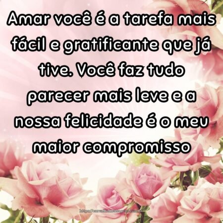 Amar você é a tarefa mais fácil e gratificante que já tive. Você faz tudo parecer mais leve e a nossa felicidade é o meu maior compromisso.