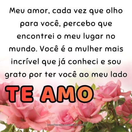 Meu amor, cada vez que olho para você, percebo que encontrei o meu lugar no mundo. Você é a mulher mais incrível que já conheci e sou grato por ter você ao meu lado